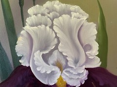 18 x 24 Original Oil Painting on Canvas….“Purple Iris“