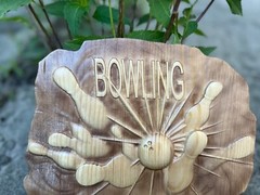 Bowling Wood Carving Multicolor Picture Woodworking 3D Handmade Wall Decor Bowle