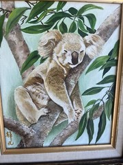 Oringal Nicley Framed Vintage Painting Koala Bear Sleeping in Tree