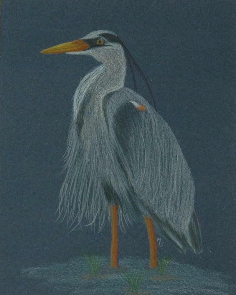 Beautiful Original Oil Crayon on Paper of A Blue Heron – Monogrammed M S