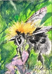 Bumblebee Bee Artist Trading Card ACEO ATC Watercolor Ink Wehofer