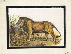 Hand Miniature Painting Of Lion Handmade Wildlife Art On Silk 8.5×6.5 Inches