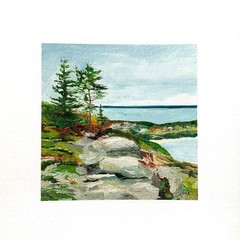 8×8 Maine Original Oil Painting Acadia Pine Trees Rocks Cadillac Mountain Signed