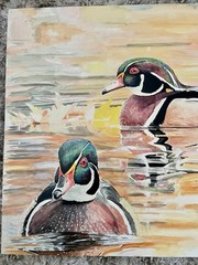Original Wood Duck Waterfowl painting By Jeff Schaub