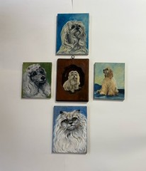 Vintage Oil Painting Lot Dog Cat Pet Shih Tzu Poodle Cocker Spaniel Persian Cat