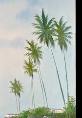 Oil Painting Canvas SEASCAPE Ocean Beach Palms, 12”x 24” signed By NIELSON