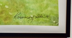 Arcrylic painting, -Framed signed Rosemary Ade- three Koi in a pond.