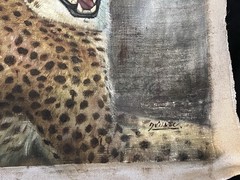 VINTAGE OIL PAINTING OF CHEETAH FROM 1960TH WITHOUT STRETCHER & FRAME.