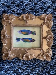 Fish Sardines ,Original,3/3,5framed,gold,miniature,small,mini