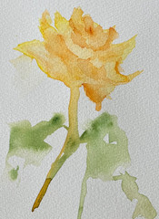 Original watercolor painting of a single yellow rose, signed by artist. OOAK