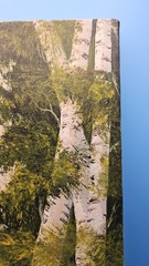 Original Signed Landscape Painting Burchwood Trees Hiking Trail Canvas Art 1982