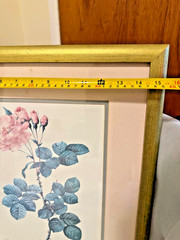Vintage Botanical Print Rosa Damascena Aurora Rose Wall Art Gold Frame 15″x18.5″