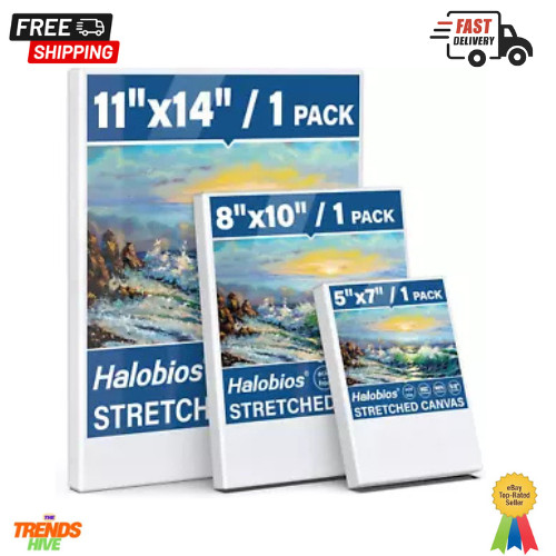 Stretched Canvases Painting Canvas for Acrylics,Oils & Other Painting Media