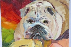 BETH GANDY “Bulldog Portrait” Painting – Oil on Canvas 12 x 12 inch – SO CUTE