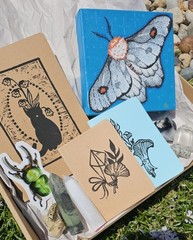 Original Art Moth & Cat Crystal Gift Bundle| Acrylic Canvas| Hand Stamped Art
