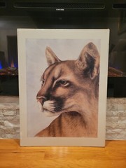 SUE COLEMAN LIMITED EDITION „LOOK TO THE HILLS“ COUGAR PORTRAIT