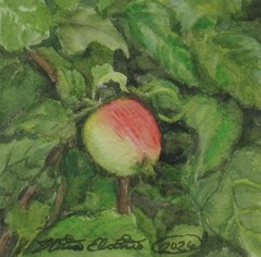 Apple Tree, Nature, 4×4 inch mini painting, framed, plein air watercolor art