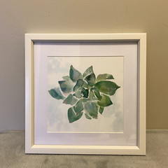 Used Hobby Lobby Green and White Flower Succulent Art Framed Wall-Mounting Decor