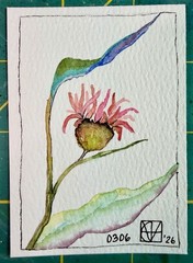 ACEO Painting by M. Hackney Flower Watercolor on Paper Signed Original 2.5×3.5″