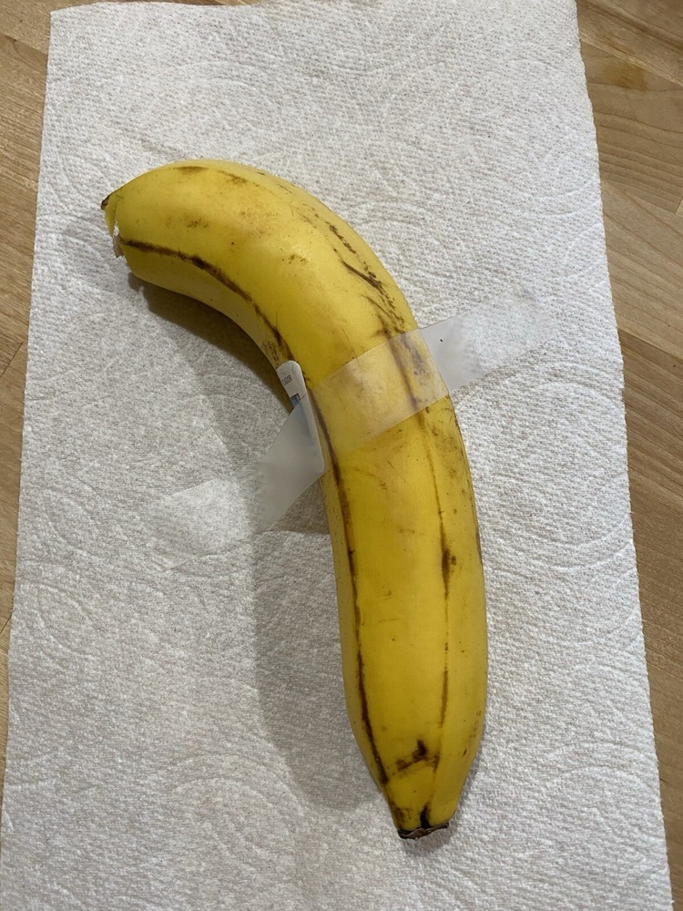 Real Banana Art