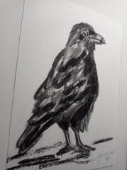 Original Painting Black raven Drawing Wall Art 6 x 8″