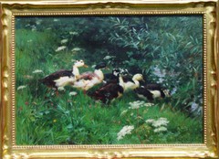 Franz Gräßel Obersasbach Baden Emmering Enten Ente dug anatra anatre canard