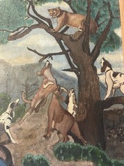 Orig. Vintage Western Hunting Painting Hunter Cowboy Bobcat Cougar Hunting Dogs