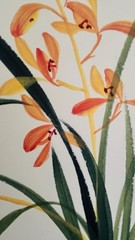 Chinese painting of orchids