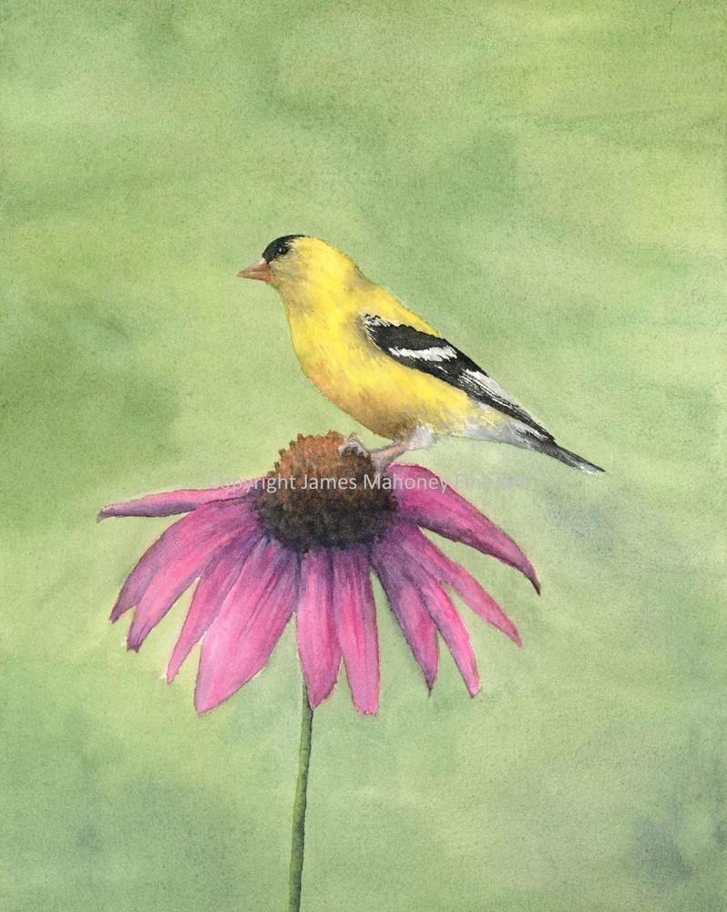 Goldfinch 02 8″x10″ Hand-Painted Watercolor Giclee Print, Unframed