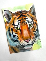 ACEO Original Tiger Painting OOAK Watercolor Mixed Media Wildlife Art Big Cat