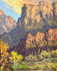 Sabino Creek, Tucson, Arizona Susan Nyberg
