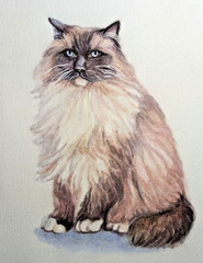 Custom Pet Portrait from Photo 12×16″ Realistic Watercolor Personalised Painting