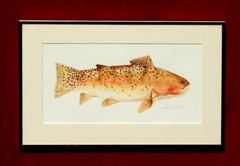 Brown Trout Watercolor Painting, Original by: G Boggs. Signed, Well Framed, MINT