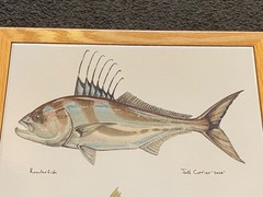 Jeff Currier 2005 Ceramic Tile Framed Roosterfish Snook Art Fly Fishing RARE