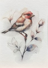 Original Watercolor Painting Finch Bird Size (5×7 inches)