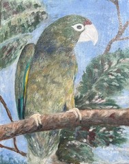 Green Hispaniolan Amazon Parrot Bird Portrait Jungle Landscape Oil Painting Art