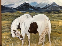 Leah Smith Wild Horse 16×20 Original Acrylic Painting Contemporary Art