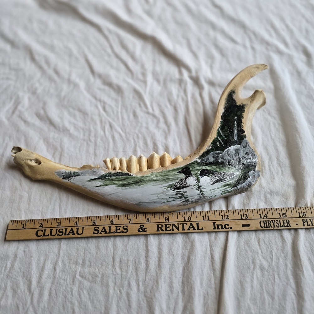 Hand Painted Horse Jawbone Art – Common Loons on Lake Scene Signed Cordova 5/13