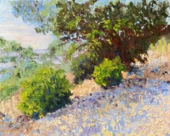 Impressionist 8×10 Oil Painting Coastal Trail Landscape Trees & Bushes Original