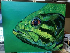 Bass Hand Painted On Large Hard Board Canvas, Acrylic 16×20″