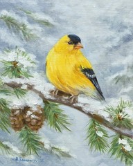 Original Oil Painting of a Goldfinch Bird Ready To Ship Fine Art