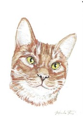 ACEO Original Watercolor Painting 2.5″x3.5″ Orange Tabby Kitty Cat Pet Portrait