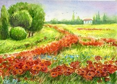 Original Watercolor Painting Landscape poppy field Provence farm red flowers A4