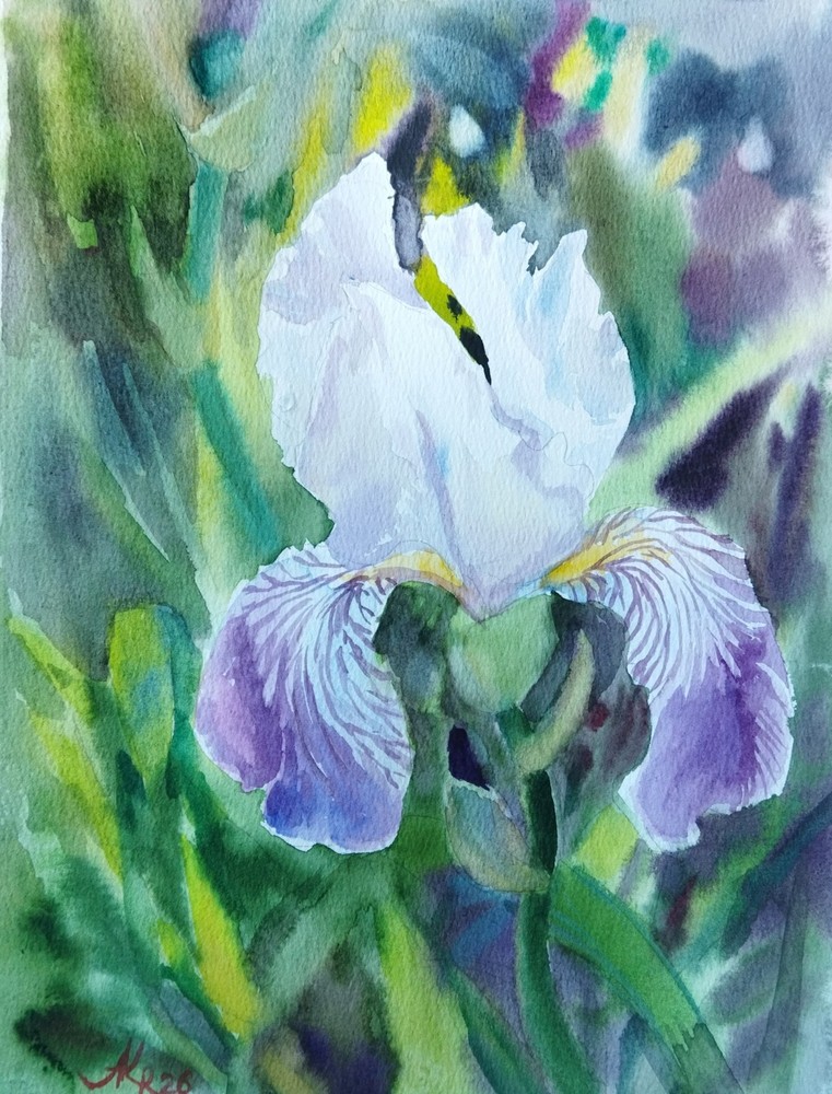 Original Watercolor Iris Painting Floral Art 9×12 in Purple White Flower