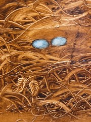 Original Oil Painting Bird Nest W/Blue Robin Eggs~Signed Nelda~Wood Frame 11×9.5