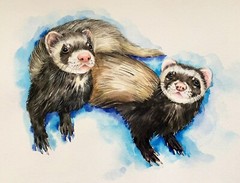 HAND-PAINTED CUSTOM PET PORTRAIT, cat portrait, dog portrait, gift for pet lover