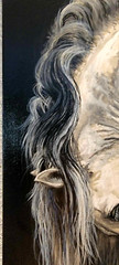 Majestic Equine Original Painting – OOAK – 20×30 – Nadine Ewing Original Artwork