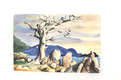 Mid Century Modernist Landscape Watercolor Painting On Paper Signed Craig Salley