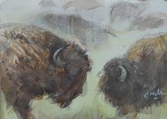 GERRY MILLER. Watercolour – „2 Buffalo“. No frame. 20x14cm.