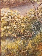 Filippo Indoni Jr. (1842-1908) – Original Watercolor Painting – Sorting Grapes